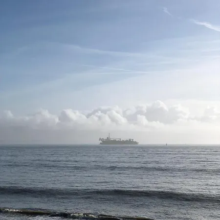 Appartement Bel En Rez-de-jardin à 100m Des Plages