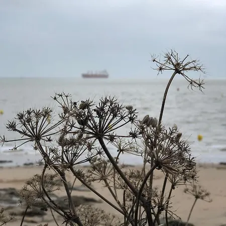 Bel En Rez-de-jardin A 100m Des Plages Сен-Назер