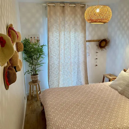 Appartement Bel En Rez-de-jardin à 100m Des Plages *