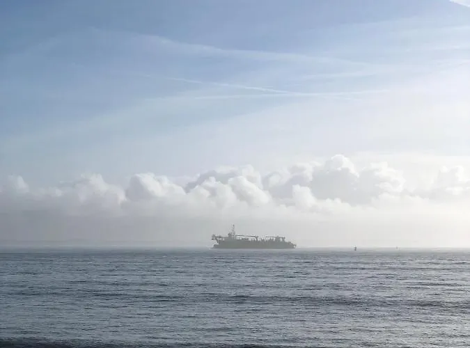 Appartamento Bel En Rez-de-jardin à 100m Des Plages