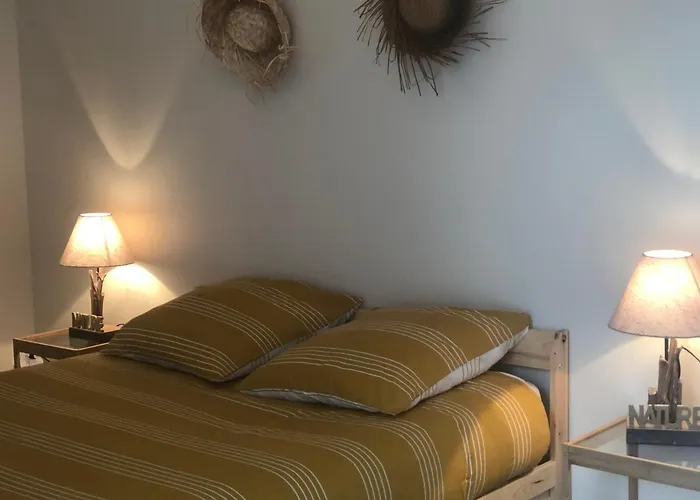 Appartamento Bel En Rez-de-jardin à 100m Des Plages *