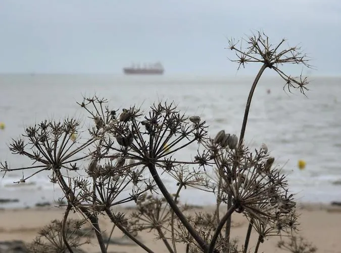 Bel En Rez-de-jardin à 100m Des Plages Saint-Nazaire (Loire-Atlantique)