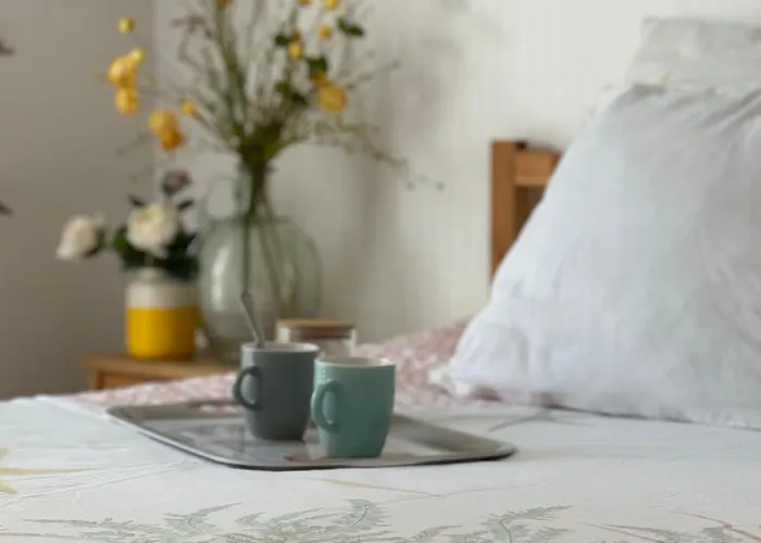 Appartamento Bel En Rez-de-jardin à 100m Des Plages